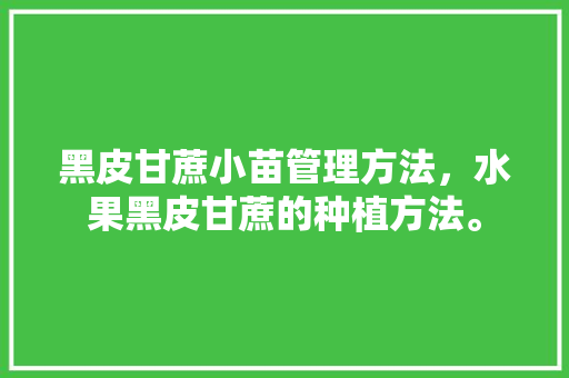 黑皮甘蔗小苗管理方法，水果黑皮甘蔗的种植方法。 黑皮甘蔗小苗管理方法，水果黑皮甘蔗的种植方法。 畜牧养殖