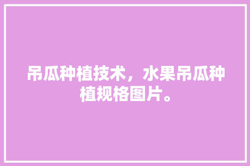 吊瓜种植技术，水果吊瓜种植规格图片。 吊瓜种植技术，水果吊瓜种植规格图片。 家禽养殖