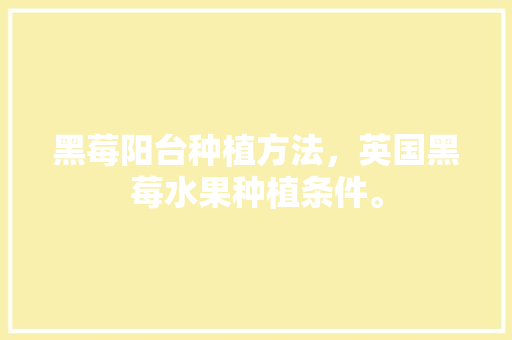 黑莓阳台种植方法，英国黑莓水果种植条件。 黑莓阳台种植方法，英国黑莓水果种植条件。 畜牧养殖