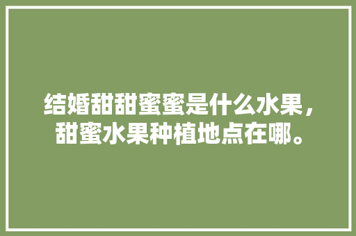 结婚甜甜蜜蜜是什么水果，甜蜜水果种植地点在哪。 结婚甜甜蜜蜜是什么水果，甜蜜水果种植地点在哪。 畜牧养殖