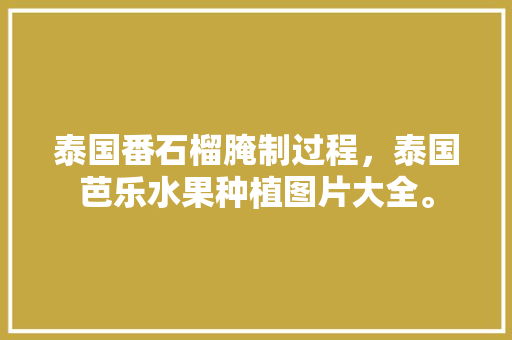 泰国番石榴腌制过程，泰国芭乐水果种植图片大全。 泰国番石榴腌制过程，泰国芭乐水果种植图片大全。 蔬菜种植