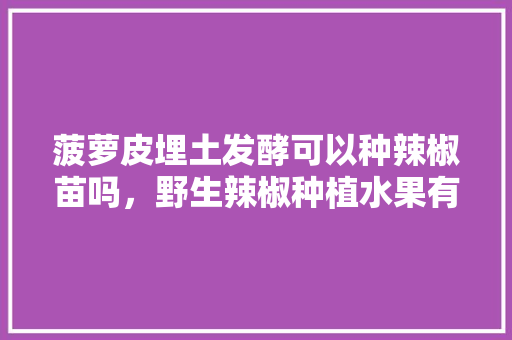 菠萝皮埋土发酵可以种辣椒苗吗，野生辣椒种植水果有哪些。 菠萝皮埋土发酵可以种辣椒苗吗，野生辣椒种植水果有哪些。 畜牧养殖