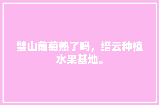 璧山葡萄熟了吗，缙云种植水果基地。 璧山葡萄熟了吗，缙云种植水果基地。 畜牧养殖