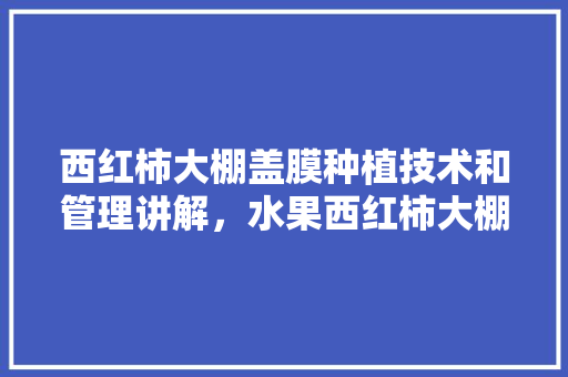 西红柿大棚盖膜种植技术和管理讲解，水果西红柿大棚种植方法。 西红柿大棚盖膜种植技术和管理讲解，水果西红柿大棚种植方法。 蔬菜种植