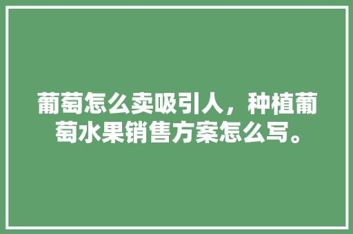 葡萄怎么卖吸引人，种植葡萄水果销售方案怎么写。 葡萄怎么卖吸引人，种植葡萄水果销售方案怎么写。 水果种植