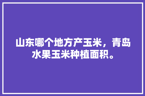 山东哪个地方产玉米，青岛水果玉米种植面积。 山东哪个地方产玉米，青岛水果玉米种植面积。 水果种植