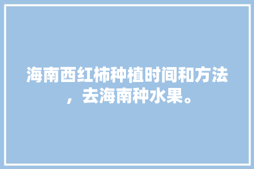 海南西红柿种植时间和方法，去海南种水果。 海南西红柿种植时间和方法，去海南种水果。 水果种植