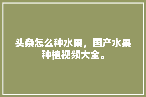 头条怎么种水果，国产水果种植视频大全。 头条怎么种水果，国产水果种植视频大全。 水果种植