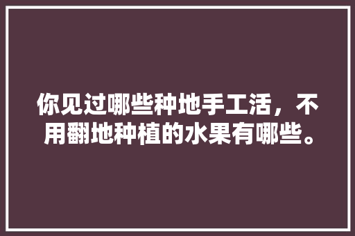 你见过哪些种地手工活，不用翻地种植的水果有哪些。 你见过哪些种地手工活，不用翻地种植的水果有哪些。 蔬菜种植