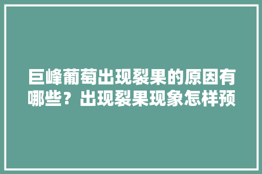 巨峰葡萄出现裂果的原因有哪些？出现裂果现象怎样预防，福安特长水果种植方法视频。 巨峰葡萄出现裂果的原因有哪些？出现裂果现象怎样预防，福安特长水果种植方法视频。 家禽养殖