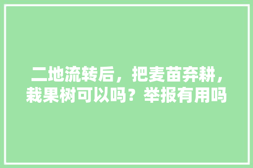 二地流转后，把麦苗弃耕，栽果树可以吗？举报有用吗，种植水果土地流转方案。 二地流转后，把麦苗弃耕，栽果树可以吗？举报有用吗，种植水果土地流转方案。 水果种植