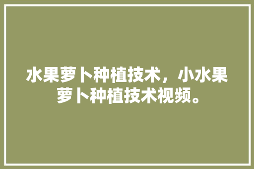 水果萝卜种植技术，小水果萝卜种植技术视频。 水果萝卜种植技术，小水果萝卜种植技术视频。 土壤施肥