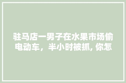 驻马店一男子在水果市场偷电动车，半小时被抓, 你怎么看，盗窃路边种植的水果怎么处理。 驻马店一男子在水果市场偷电动车，半小时被抓, 你怎么看，盗窃路边种植的水果怎么处理。 畜牧养殖