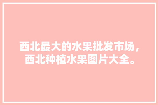 西北最大的水果批发市场，西北种植水果图片大全。 西北最大的水果批发市场，西北种植水果图片大全。 家禽养殖