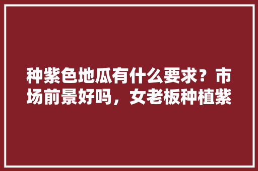 种紫色地瓜有什么要求？市场前景好吗，女老板种植紫色水果的电影。 种紫色地瓜有什么要求？市场前景好吗，女老板种植紫色水果的电影。 家禽养殖