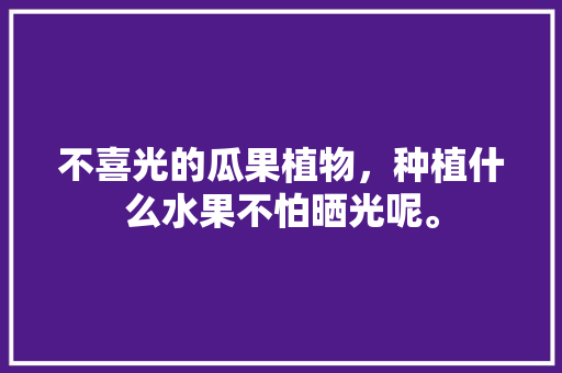 不喜光的瓜果植物，种植什么水果不怕晒光呢。 不喜光的瓜果植物，种植什么水果不怕晒光呢。 水果种植