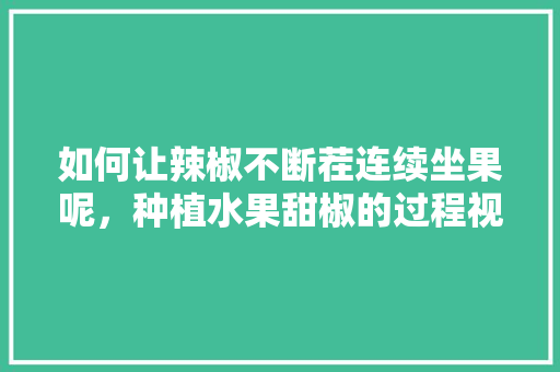 如何让辣椒不断茬连续坐果呢，种植水果甜椒的过程视频。 如何让辣椒不断茬连续坐果呢，种植水果甜椒的过程视频。 水果种植