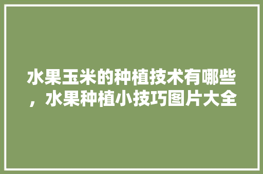 水果玉米的种植技术有哪些，水果种植小技巧图片大全。 水果玉米的种植技术有哪些，水果种植小技巧图片大全。 家禽养殖