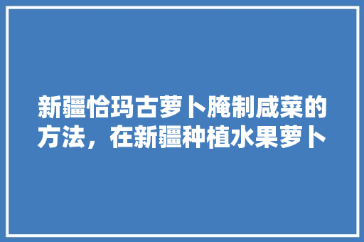 新疆恰玛古萝卜腌制咸菜的方法，在新疆种植水果萝卜可以吗。 新疆恰玛古萝卜腌制咸菜的方法，在新疆种植水果萝卜可以吗。 畜牧养殖