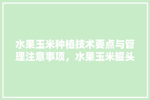 水果玉米种植技术要点与管理注意事项，水果玉米罐头种植方法。 水果玉米种植技术要点与管理注意事项，水果玉米罐头种植方法。 蔬菜种植