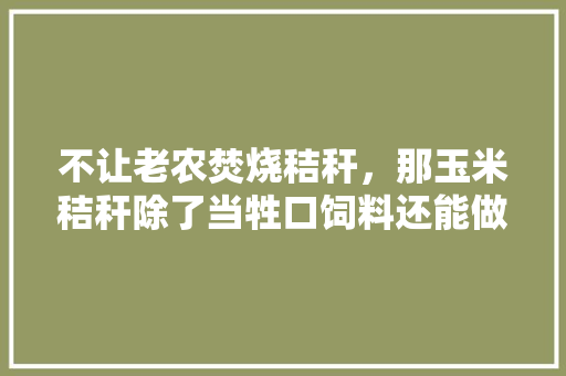 不让老农焚烧秸秆，那玉米秸秆除了当牲口饲料还能做什么用，通辽种植出优质水果的地方。 不让老农焚烧秸秆，那玉米秸秆除了当牲口饲料还能做什么用，通辽种植出优质水果的地方。 畜牧养殖