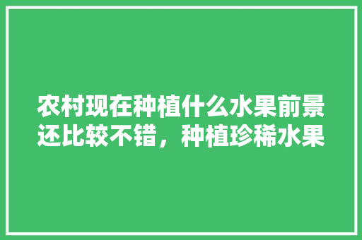 农村现在种植什么水果前景还比较不错，种植珍稀水果的前景如何。 农村现在种植什么水果前景还比较不错，种植珍稀水果的前景如何。 蔬菜种植