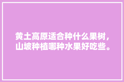 黄土高原适合种什么果树，山坡种植哪种水果好吃些。 黄土高原适合种什么果树，山坡种植哪种水果好吃些。 畜牧养殖