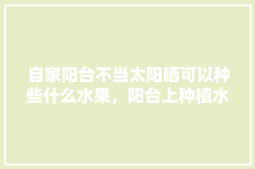 自家阳台不当太阳晒可以种些什么水果，阳台上种植水果好吗。 自家阳台不当太阳晒可以种些什么水果，阳台上种植水果好吗。 家禽养殖