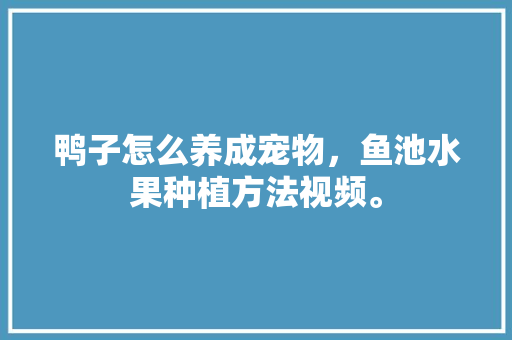 鸭子怎么养成宠物，鱼池水果种植方法视频。 鸭子怎么养成宠物，鱼池水果种植方法视频。 蔬菜种植