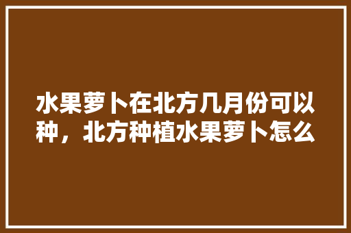 水果萝卜在北方几月份可以种，北方种植水果萝卜怎么种。 水果萝卜在北方几月份可以种，北方种植水果萝卜怎么种。 水果种植