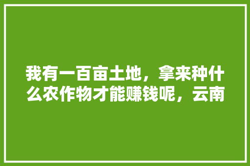 我有一百亩土地，拿来种什么农作物才能赚钱呢，云南种植的水果。 我有一百亩土地，拿来种什么农作物才能赚钱呢，云南种植的水果。 土壤施肥