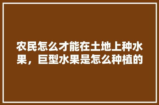 农民怎么才能在土地上种水果，巨型水果是怎么种植的。 农民怎么才能在土地上种水果，巨型水果是怎么种植的。 土壤施肥