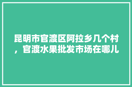 昆明市官渡区阿拉乡几个村，官渡水果批发市场在哪儿?。 昆明市官渡区阿拉乡几个村，官渡水果批发市场在哪儿?。 蔬菜种植