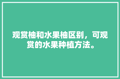 观赏柚和水果柚区别，可观赏的水果种植方法。 观赏柚和水果柚区别，可观赏的水果种植方法。 水果种植