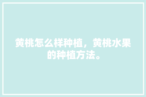 黄桃怎么样种植，黄桃水果的种植方法。 黄桃怎么样种植，黄桃水果的种植方法。 家禽养殖