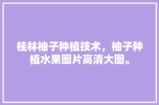 桂林柚子种植技术，柚子种植水果图片高清大图。 桂林柚子种植技术，柚子种植水果图片高清大图。 畜牧养殖