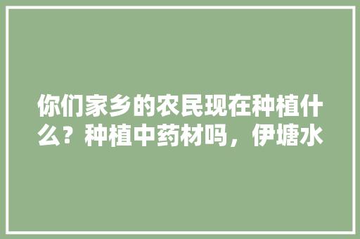 你们家乡的农民现在种植什么？种植中药材吗，伊塘水果种植基地在哪里。 你们家乡的农民现在种植什么？种植中药材吗，伊塘水果种植基地在哪里。 水果种植