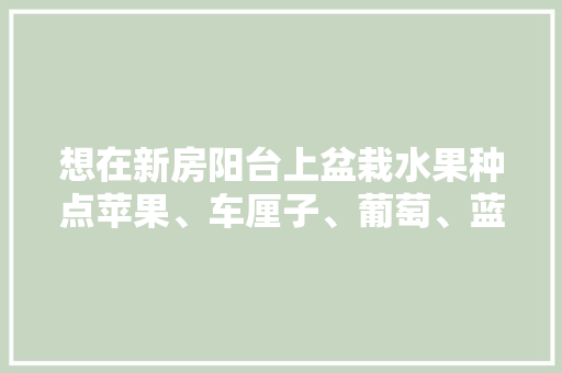 想在新房阳台上盆栽水果种点苹果、车厘子、葡萄、蓝莓，该选择多大的花盆好？该怎么种，阳台种植水果蔬菜设计图。 想在新房阳台上盆栽水果种点苹果、车厘子、葡萄、蓝莓，该选择多大的花盆好？该怎么种，阳台种植水果蔬菜设计图。 家禽养殖