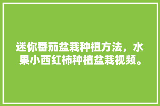 迷你番茄盆栽种植方法，水果小西红柿种植盆栽视频。 迷你番茄盆栽种植方法，水果小西红柿种植盆栽视频。 家禽养殖