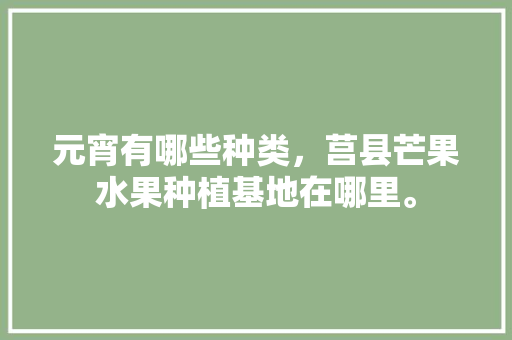 元宵有哪些种类，莒县芒果水果种植基地在哪里。 元宵有哪些种类，莒县芒果水果种植基地在哪里。 家禽养殖