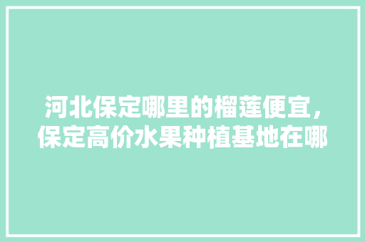 河北保定哪里的榴莲便宜，保定高价水果种植基地在哪里。 河北保定哪里的榴莲便宜，保定高价水果种植基地在哪里。 水果种植