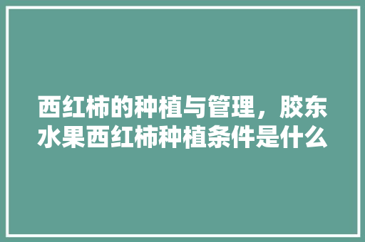 西红柿的种植与管理，胶东水果西红柿种植条件是什么。 西红柿的种植与管理，胶东水果西红柿种植条件是什么。 水果种植