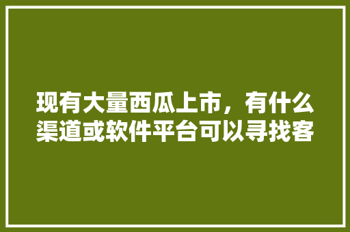 现有大量西瓜上市，有什么渠道或软件平台可以寻找客商，谢谢，黑河水果种植技术与管理。 现有大量西瓜上市，有什么渠道或软件平台可以寻找客商，谢谢，黑河水果种植技术与管理。 蔬菜种植