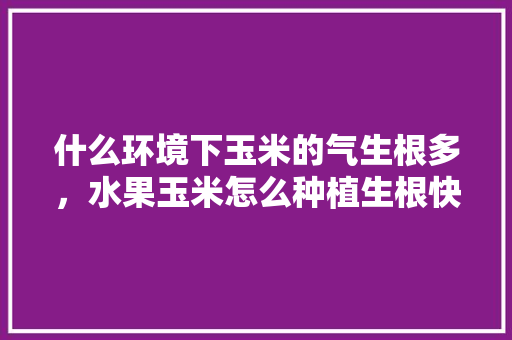 什么环境下玉米的气生根多，水果玉米怎么种植生根快。 什么环境下玉米的气生根多，水果玉米怎么种植生根快。 水果种植