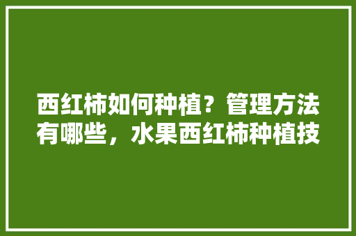 西红柿如何种植？管理方法有哪些，水果西红柿种植技术要求有哪些。 西红柿如何种植？管理方法有哪些，水果西红柿种植技术要求有哪些。 土壤施肥