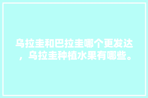 乌拉圭和巴拉圭哪个更发达，乌拉圭种植水果有哪些。 乌拉圭和巴拉圭哪个更发达，乌拉圭种植水果有哪些。 土壤施肥