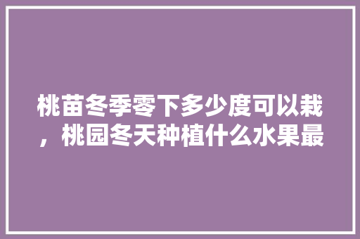 桃苗冬季零下多少度可以栽，桃园冬天种植什么水果最好。 桃苗冬季零下多少度可以栽，桃园冬天种植什么水果最好。 蔬菜种植