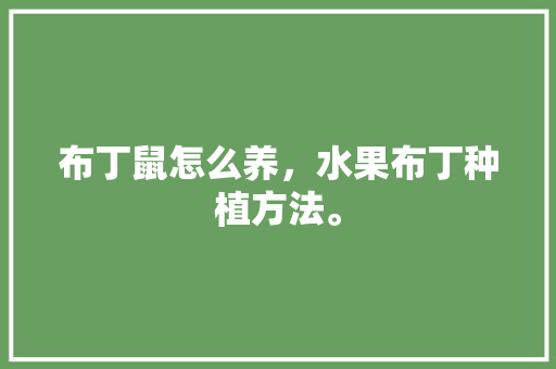 布丁鼠怎么养，水果布丁种植方法。 布丁鼠怎么养，水果布丁种植方法。 土壤施肥