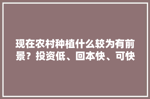 现在农村种植什么较为有前景？投资低、回本快、可快速交易的品种有哪些，有前途的水果种植方法。 现在农村种植什么较为有前景？投资低、回本快、可快速交易的品种有哪些，有前途的水果种植方法。 畜牧养殖