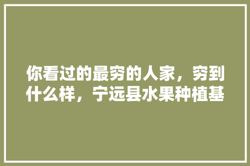 你看过的最穷的人家，穷到什么样，宁远县水果种植基地地址。 你看过的最穷的人家，穷到什么样，宁远县水果种植基地地址。 家禽养殖